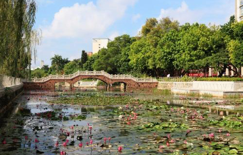 廣西醫(yī)科大學(xué)繼續(xù)教育學(xué)院