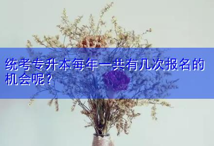 統(tǒng)考專升本每年一共有幾次報名的機會呢？