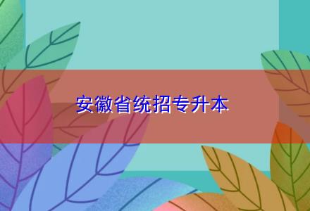 安徽省統(tǒng)招專(zhuān)升本
