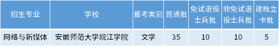 安徽專升本網(wǎng)絡(luò)與新媒體專業(yè)招生學校