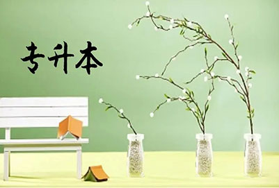 浙江音樂學(xué)院專升本音樂表演(流行演唱)專業(yè)詳情
