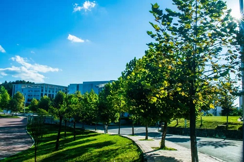 長順中等職業(yè)學校什么專業(yè)好