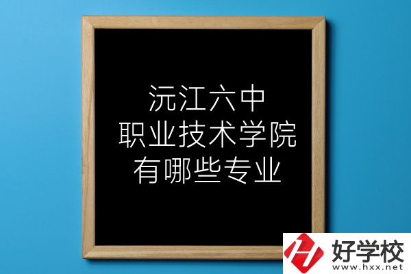 湖南沅江六中職業(yè)技術(shù)學院有哪些專業(yè)？
