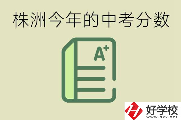 株洲今年中考多少分能上高中？沒考上有什么選擇？