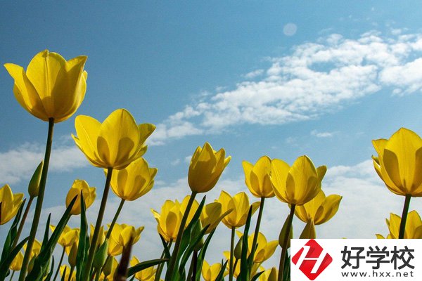 岳陽有開設(shè)工業(yè)機器人技術(shù)應(yīng)用專業(yè)的中職學校嗎？