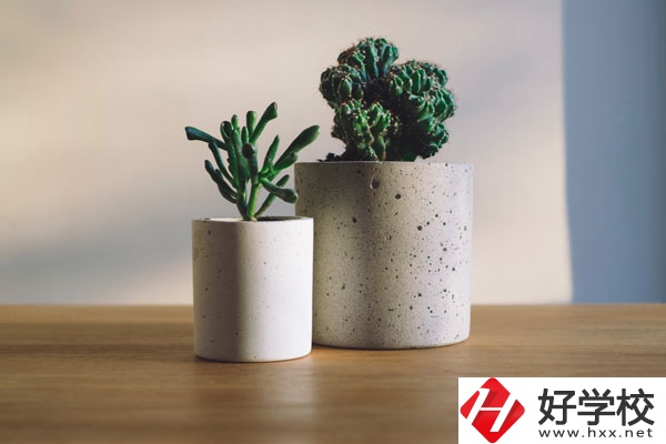 芷江民族職業(yè)中專招生專業(yè)有哪些？收費標(biāo)準(zhǔn)如何？