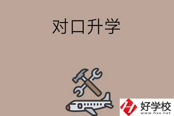 職高學(xué)生參加湖南省對口升學(xué)，有什么本科可以報(bào)考？