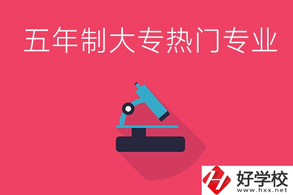 湖南五年制大專最熱門的專業(yè)有哪些？
