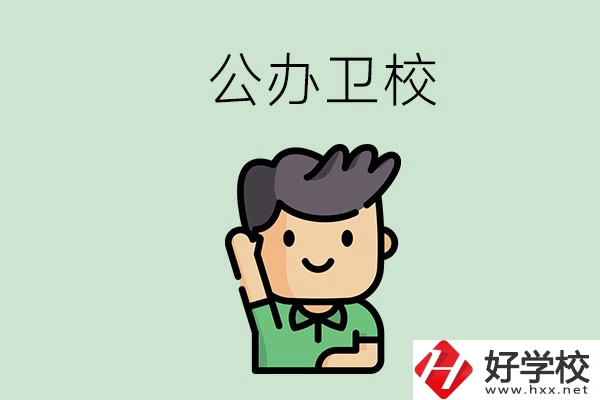 湖南的公辦衛(wèi)校有哪些？這兩所學(xué)校值得推薦！