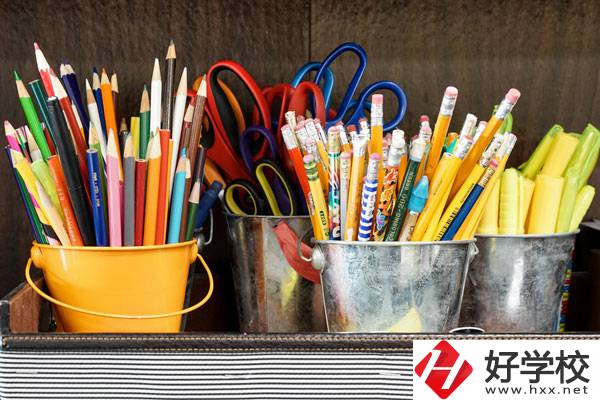 在懷化有什么職?？梢詫W習幼師？好不好？