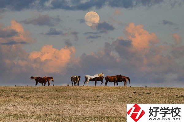 邵陽工業(yè)學(xué)校是公辦還是民辦？有什么優(yōu)勢？