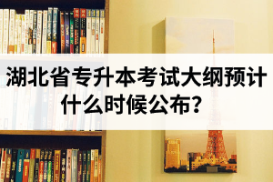 湖北省專升本考試大綱預(yù)計什么時候公布？現(xiàn)階段怎么備考比較好？