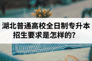 湖北普通高校全日制專升本招生要求是怎樣的？