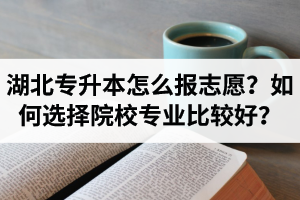 湖北省專升本怎么報(bào)志愿？如何選擇填報(bào)院校專業(yè)比較好？