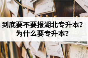 到底要不要報(bào)湖北專升本？為什么要專升本？