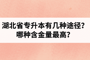 湖北省專升本有幾種途徑？哪種含金量最高？
