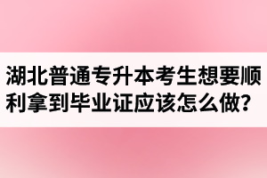 湖北普通專升本考生想要順利拿到畢業(yè)證應(yīng)該怎么做？