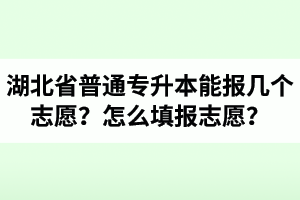湖北省普通專升本能報(bào)幾個(gè)志愿？怎么填報(bào)志愿？