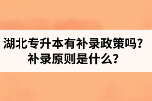湖北專升本有補錄政策嗎？補錄原則是什么？
