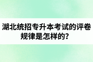 湖北統(tǒng)招專升本考試的評(píng)卷規(guī)律是怎樣的？怎么避免丟失細(xì)節(jié)分？