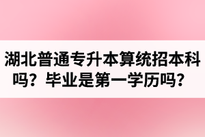 湖北普通專升本算統(tǒng)招本科嗎？專升本學歷是第一學歷嗎？