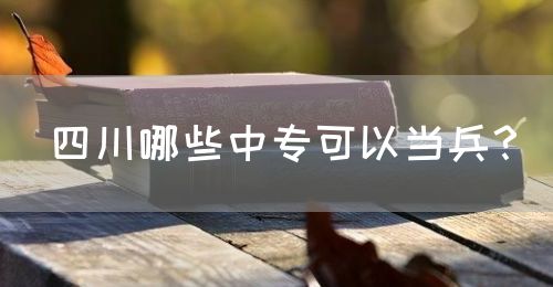 四川哪些中?？梢援?dāng)兵？(圖1)