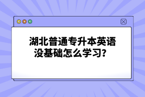 湖北普通專升本英語(yǔ)沒(méi)基礎(chǔ)怎么學(xué)習(xí)？