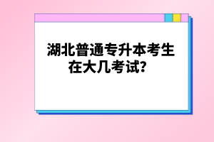 湖北普通專升本考生在大幾考試？
