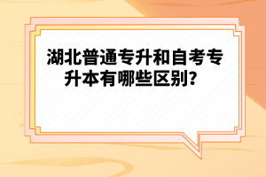 湖北普通專升和自考專升本有哪些區(qū)別？