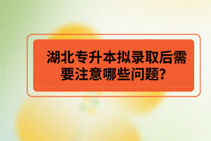 湖北專(zhuān)升本擬錄取后需要注意哪些問(wèn)題？