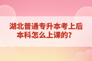 湖北普通專升本考上后本科怎么上課的？