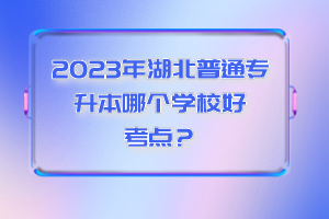 2023年湖北普通專升本哪個學校好考點？