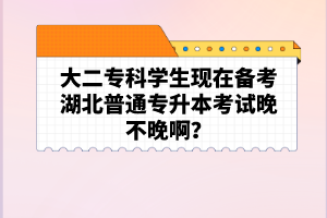 大二?？茖W(xué)生現(xiàn)在備考湖北普通專升本考試晚不晚啊？