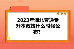 2023年湖北普通專升本政策什么時候公布？