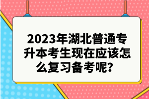 2023年湖北普通專升本考生現(xiàn)在應(yīng)該怎么復(fù)習(xí)備考呢？