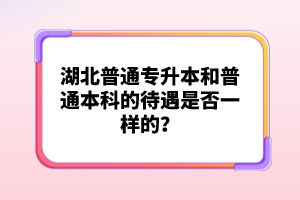 湖北普通專升本和普通本科的待遇是否一樣的？