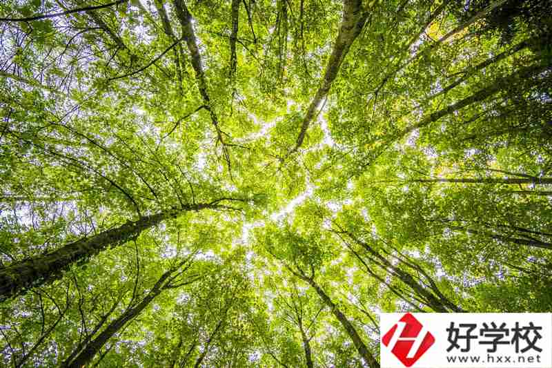湘西州有哪些公辦中職學(xué)校？