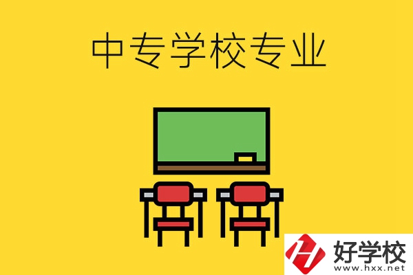 湖南的中專學校有哪些專業(yè)好就業(yè)？