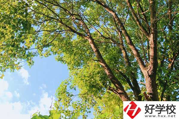 衡陽南華科技學(xué)校教學(xué)質(zhì)量怎么樣？