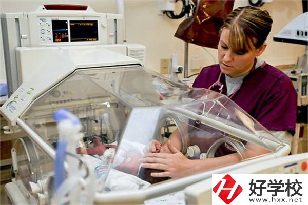 湖南中職學(xué)校開設(shè)最多的專業(yè)有哪些？就業(yè)前景怎么樣？