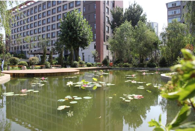沈陽市外事服務學校 學校圖片簡介