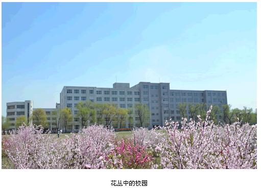 吉林電子信息職業(yè)技術(shù)學院