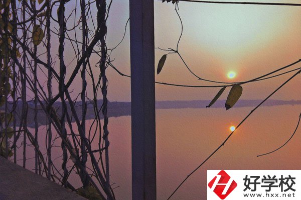 張家界的中職學校學什么專業(yè)好？哪些專業(yè)前景佳？
