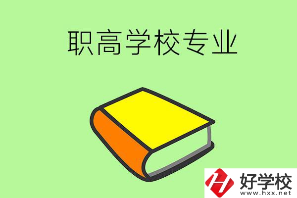 湖南省株洲市職高學(xué)校有哪些專業(yè)比較好？