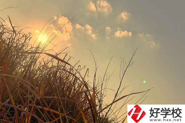 衡陽市瀟湘衛(wèi)生中等專業(yè)學(xué)校宿舍環(huán)境以及食堂怎么樣？