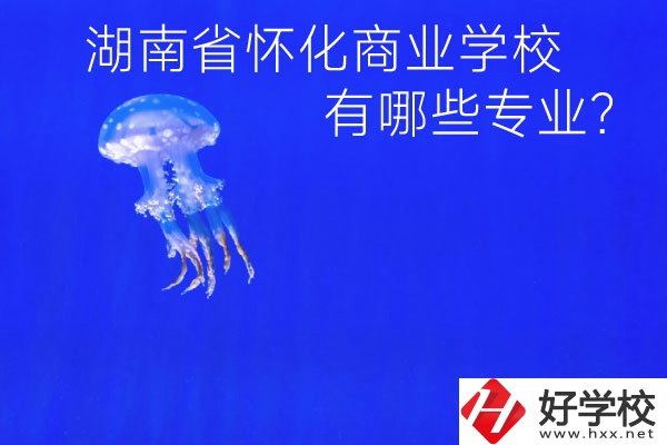 湖南省懷化商業(yè)學(xué)校好不好？有哪些專業(yè)？