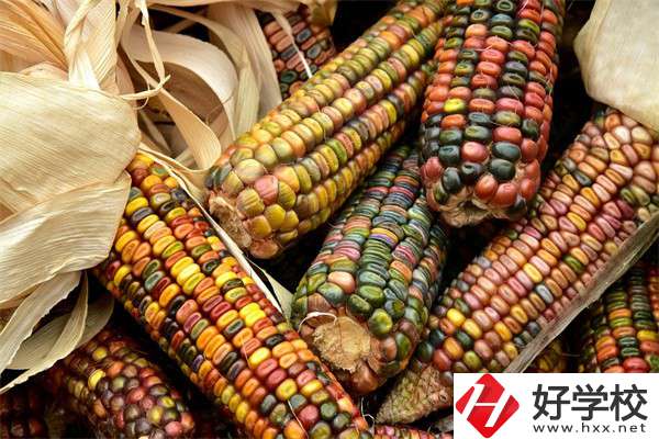 岳陽中職學(xué)校哪些專業(yè)好？有什么學(xué)校推薦？