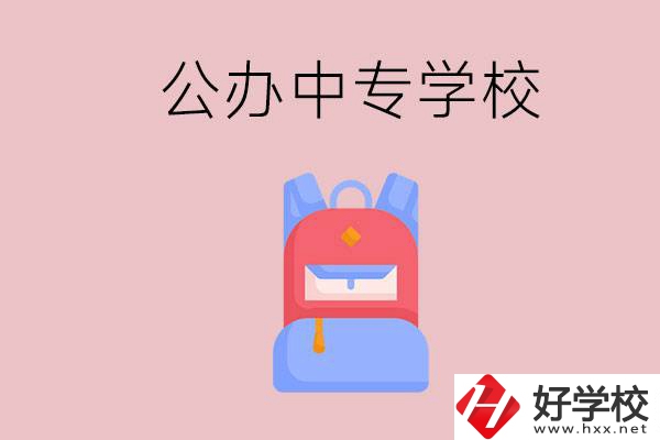 婁底有什么公辦中專學校？教學怎么樣？
