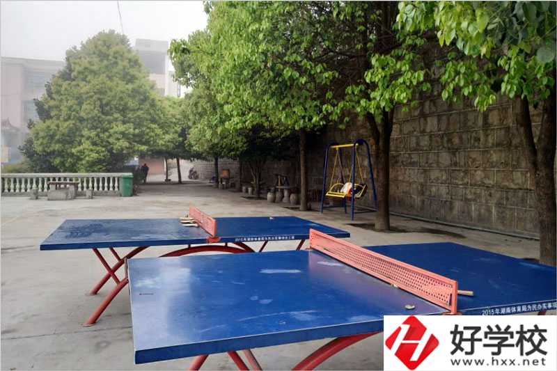 湘西高峰職業(yè)技術學校乒乓球臺