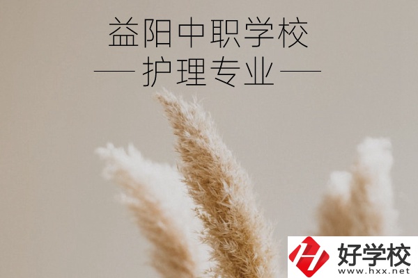 益陽(yáng)護(hù)理專業(yè)的中職學(xué)校有哪些？需要哪些要求？